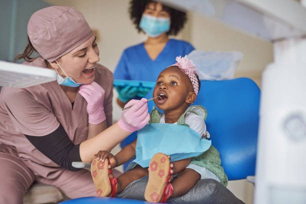 Professional Holistic Dental Care Services in Miami Heights, OH